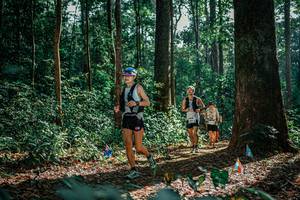 BIB: 
                            <button type="button" onclick="openModal(26130666)" class="btn btn-primary btn-sm float-right btn-popup" data-toggle="modal" data-target=".modal-high-quality">
                        <i class="fas fa-shopping-cart"></i> Add to Cart
                    </button>
                                            <button type="button" onclick="isThisMe(26130666, true)" class="btn btn-success btn-sm float-right btn-popup btn-isme hidden" data-toggle="tooltip" data-placement="bottom" title="นี่คือรูปของคุณใช่ไหม คลิกที่นี่เพื่อเอาเข้าอัลบั้ม">
                        <i class="fas fa-plus"></i> Add to album
                    </button>
                    <button type="button" onclick="isThisMe(26130666, false)" class="btn btn-warning btn-sm float-right btn-popup btn-isnotme hidden">
                        <i class="fas fa-ban"></i> Remove from album
                    </button>